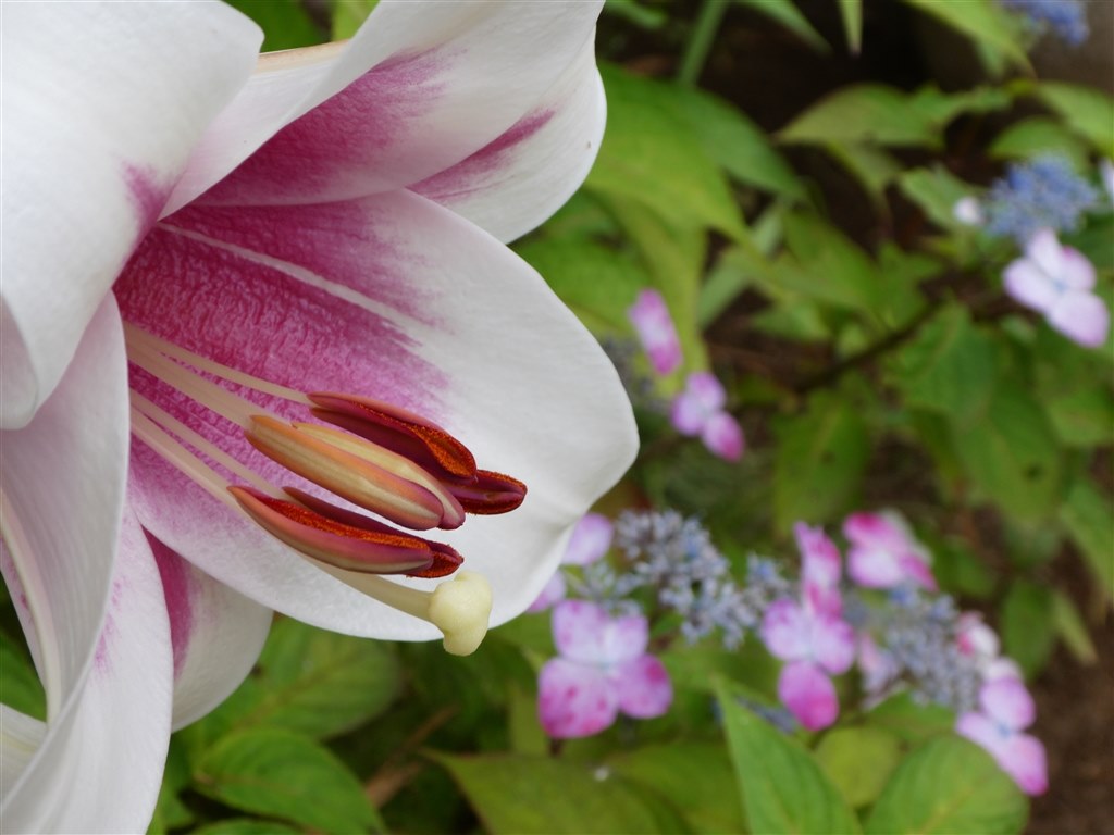 まずまずの画質で使えそうです♪』 パナソニック LUMIX DC-TZ90 の