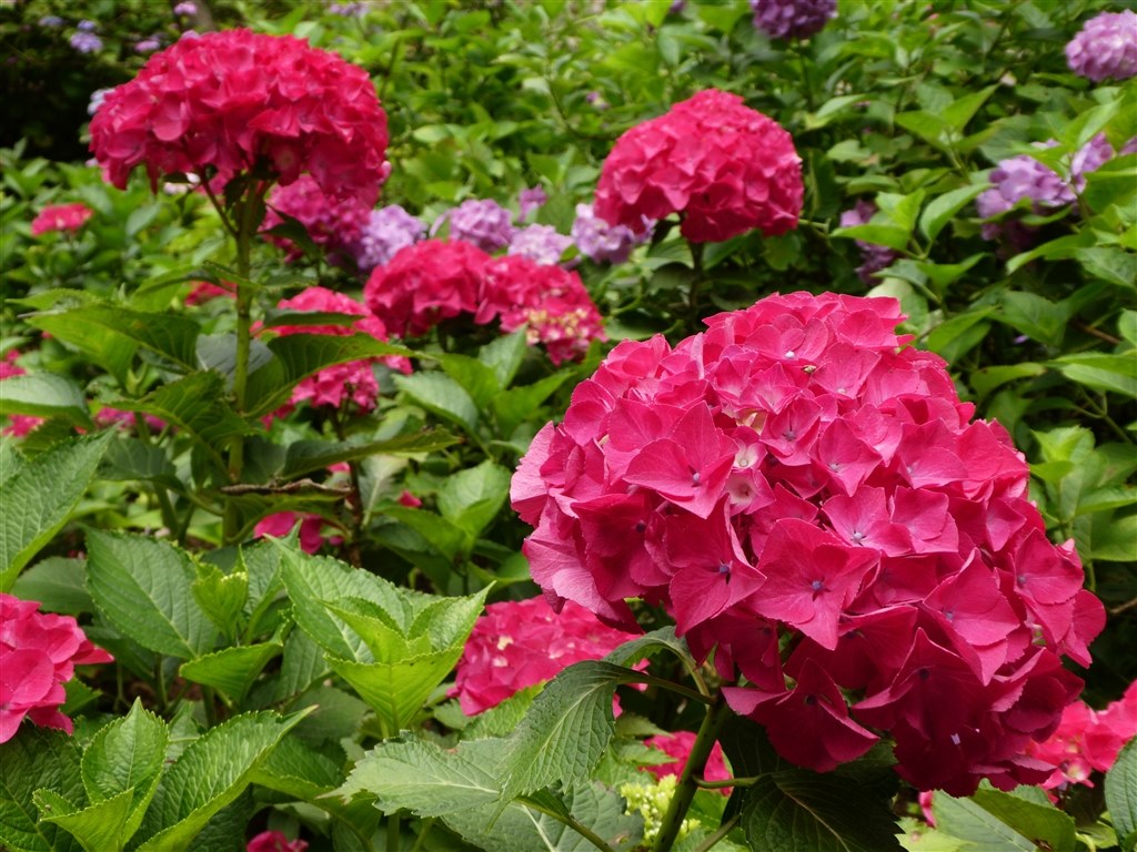 まずまずの画質で使えそうです♪』 パナソニック LUMIX DC-TZ90 の