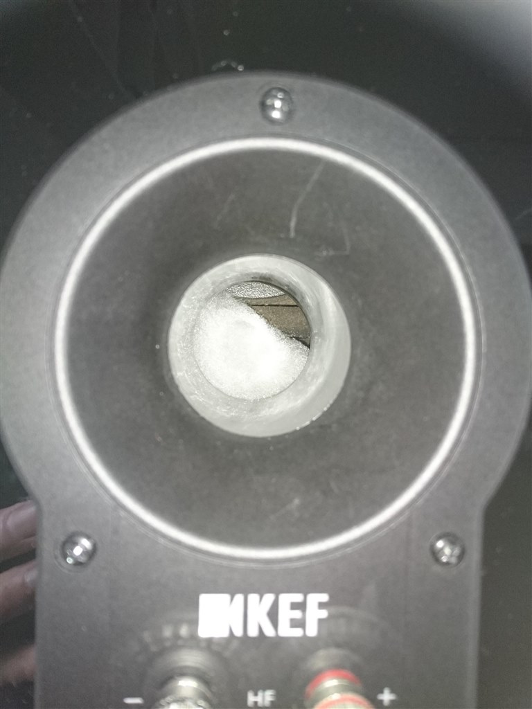 バスレフポートの中に異物？』 KEF R300 [ピアノブラック ペア] の