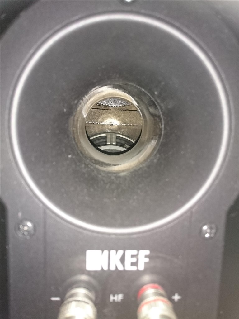 バスレフポートの中に異物？』 KEF R300 [ピアノブラック ペア] の