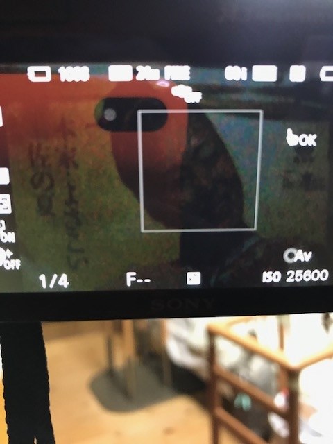 暗さについて』 TAMRON AF 70-300mm F/4-5.6 Di LD Macro 1:2 (Model