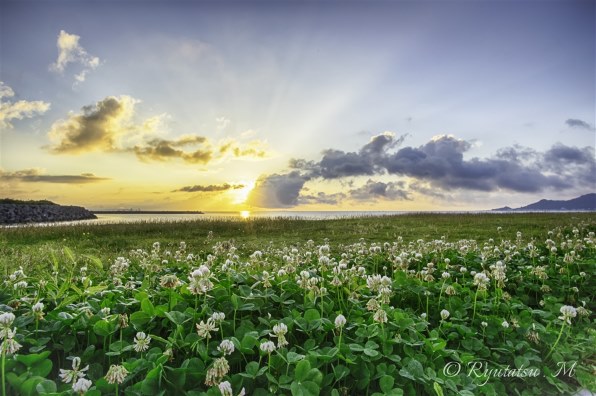 ペンタックス SMC PENTAX-DA 14mm F2.8 ED(IF)で撮影された写真