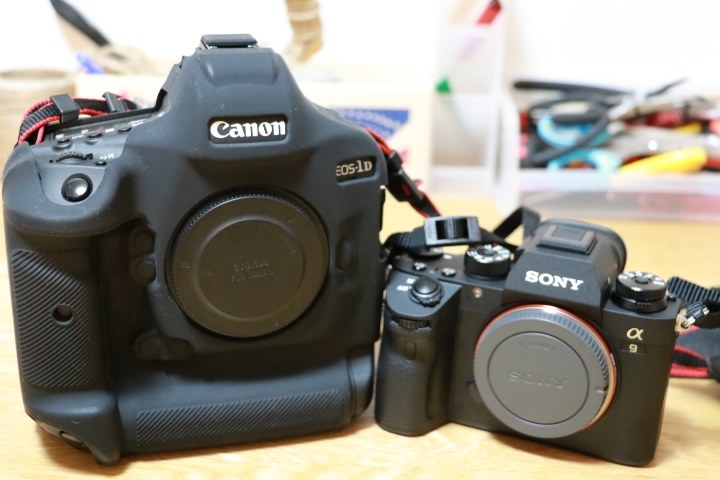 Canon EOS-1D Mark II N ボディ デジタル一眼レフ 動作品 MARK Canon EOS-1D Mark II N ボディ デジタル一眼レフ 動作品