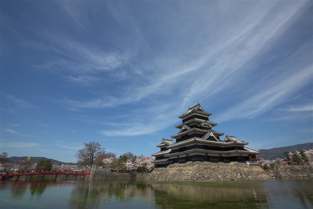 大判　elte エメラルドの夜 EOS R7で野鳥撮影 2台構成 ウグイス、コガラ、アカゲラ