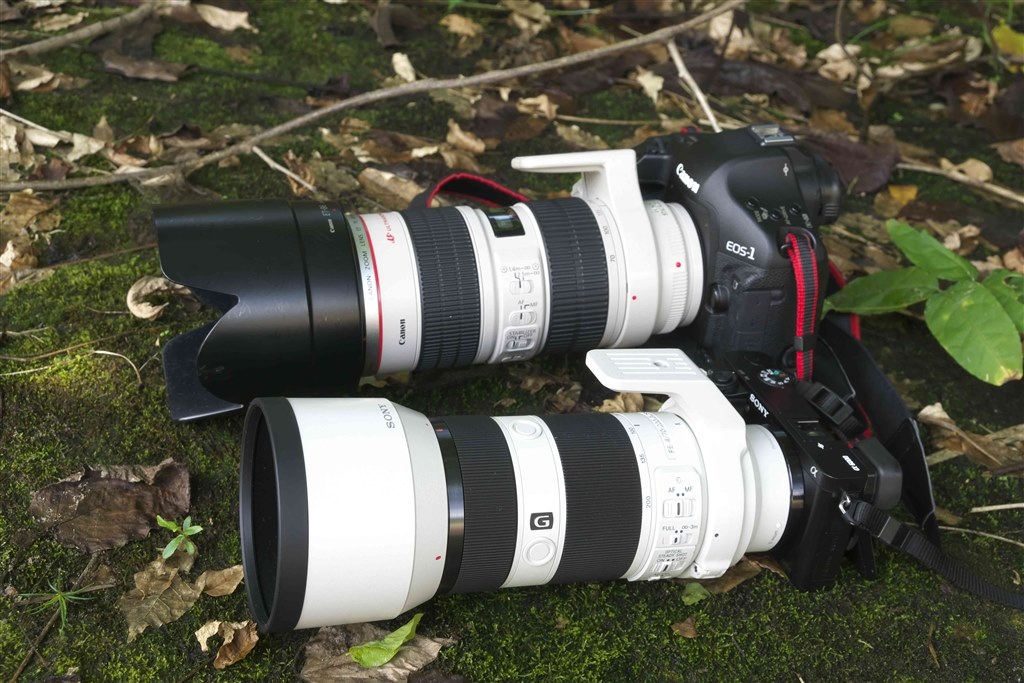 α6400が欲しいけど予算が...なら迷わずこれ！ILCE-6100Y α6400が欲しいけど予算がなら迷わずこれ！ILCE-6100Y α6400が欲しい