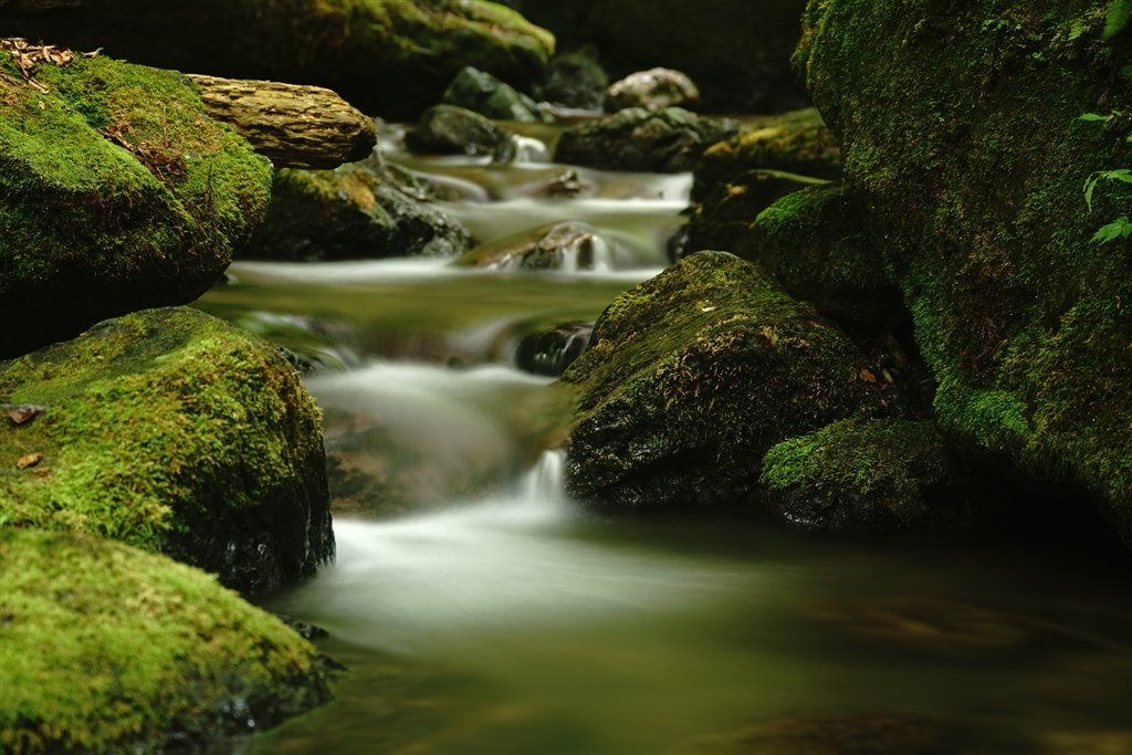 RawとJPEG出力 RAWをJPEGと同じにする方法はありますか？』 SONY