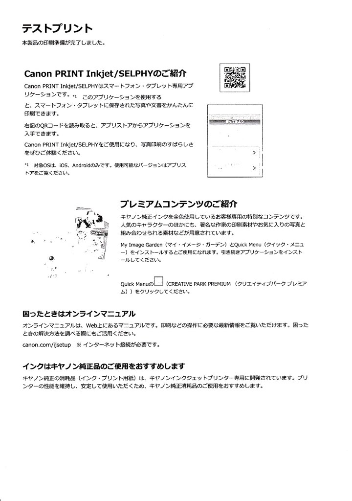 セットアップ時からモノクロしか出ない？』 CANON PIXUS TS9030