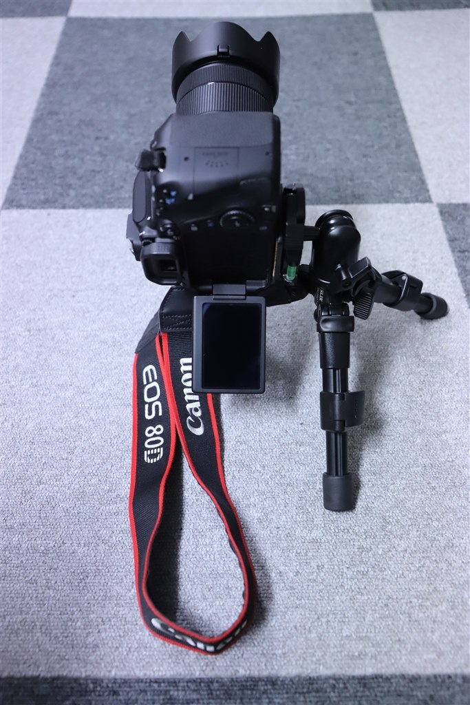 バリアングル式よりもチルト式？』 CANON EOS 6D Mark II ボディ の