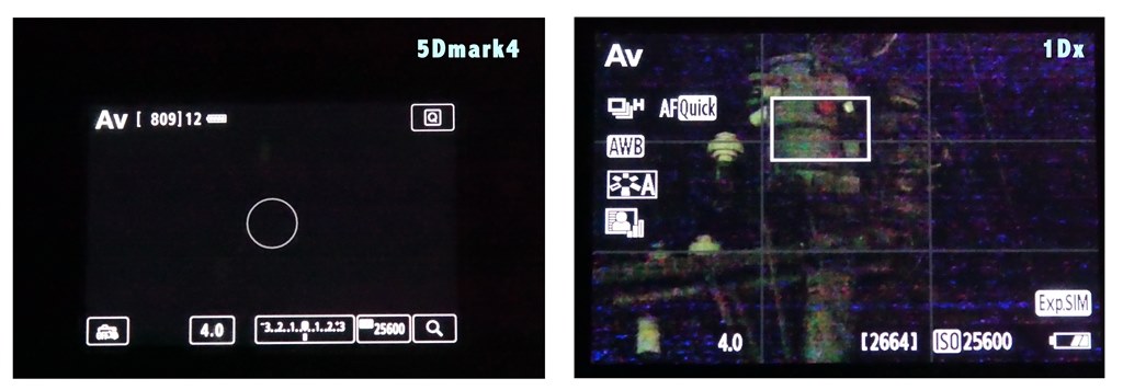 暗所でライブビューが見にくい』 CANON EOS 5D Mark IV ボディ の