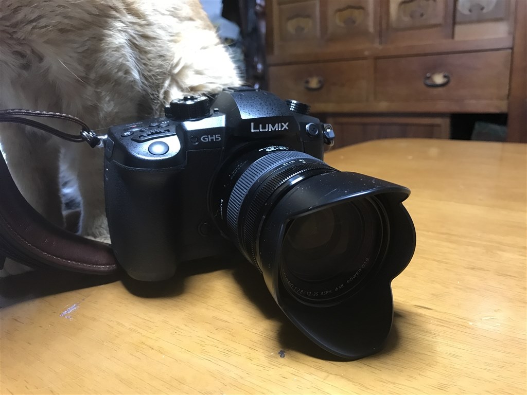 猫撮りカメラで悩み中です』 パナソニック LUMIX DMC-GX7MK2 ボディ のクチコミ掲示板 - 価格.com