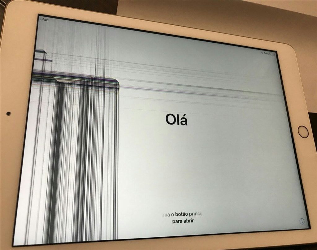 画面に線が入りました。』 Apple iPad 第5世代 Wi-Fi 32GB 2017年春 