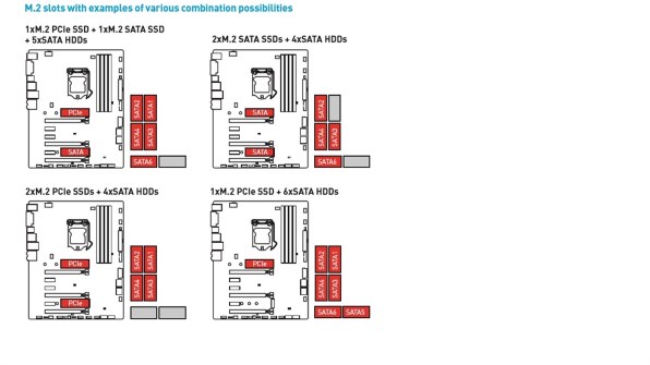進化設計図 プロモ 4枚セット デュエマ】 進化設計図(P6/Y4) 第4期/プロモ の通販 - カーナベル