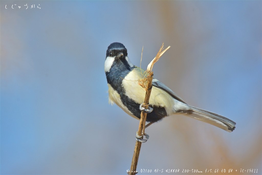 NIKKOR 200-500mmレンズ訳あり, TC-14E2 ニコン超望遠レンズAF-S