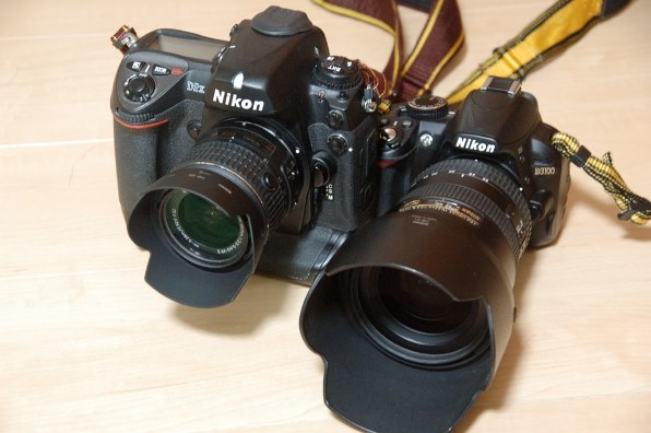 ニコン D2H ボディ投稿画像・動画 - 価格.com