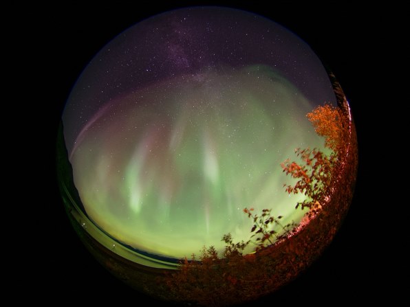 シグマ 4 5mm F2 8 Ex Dc Circular Fisheye Hsm ﾆｺﾝ用 投稿画像 動画 価格 Com