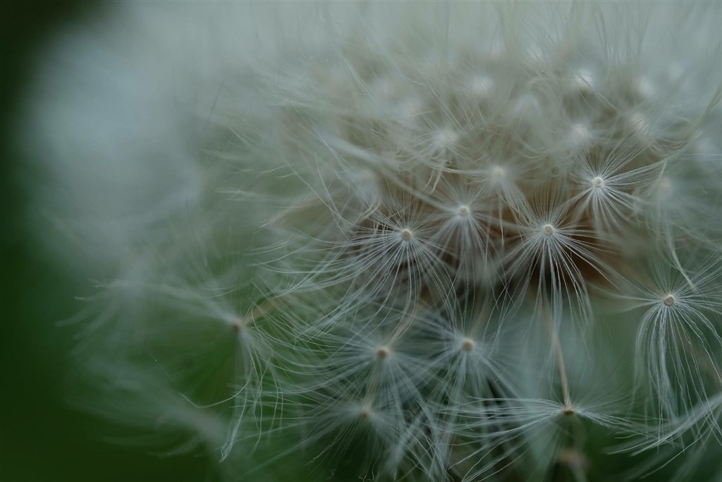 購入しました。』 富士フイルム フジノンレンズ XF80mmF2.8 R LM OIS