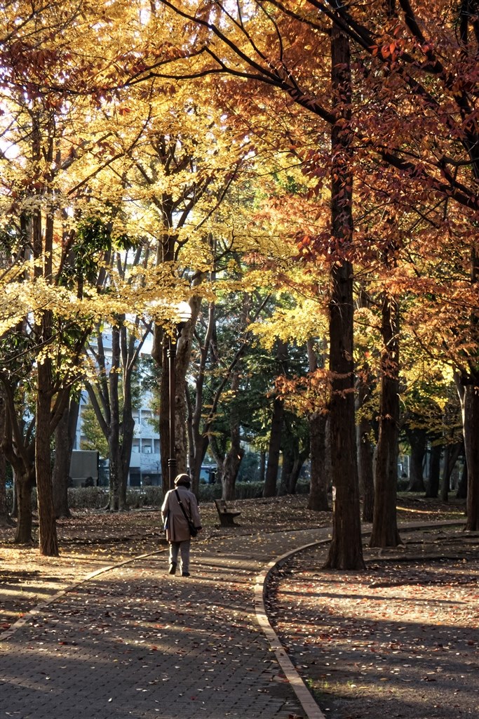 写真の芸術性とは。』 クチコミ掲示板 - 価格.com