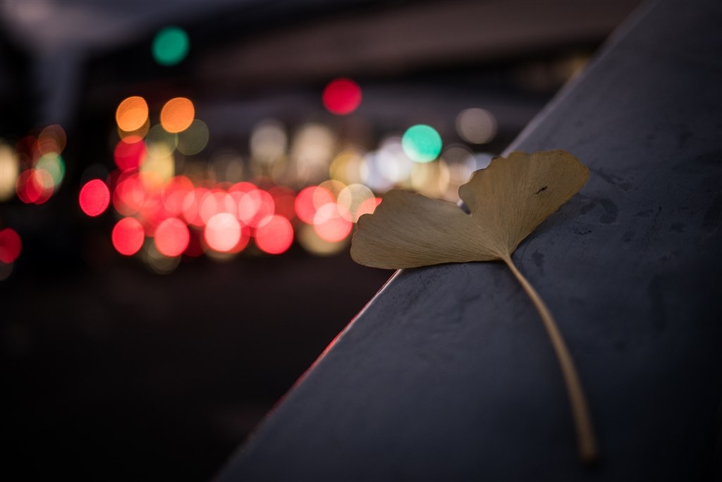 DMC-GX7MK2-S ＆ 20mm/F1.7 セット DMC-GX7MK2-S ＆ 20mm/F1.7 セット DMC-GX7MK2-S ＆ 20mm/F1.7 セット