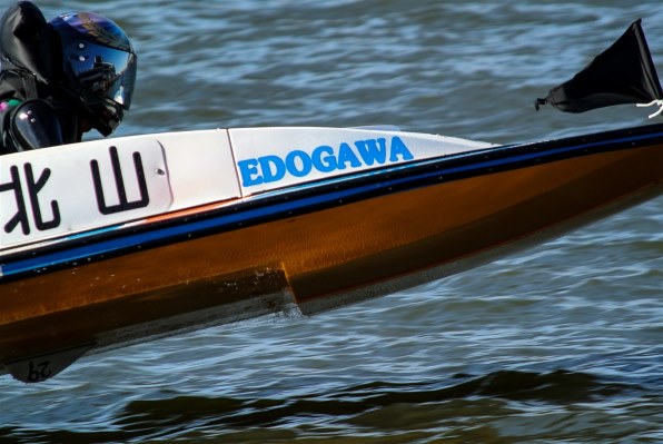 Nikon AF-S DX 55-300mm VR ズームレンズ 【撮影写真付】 Amazon | Nikon - AF-S DX NIKKOR 55-300mm f/4.5-5.6G ED VR