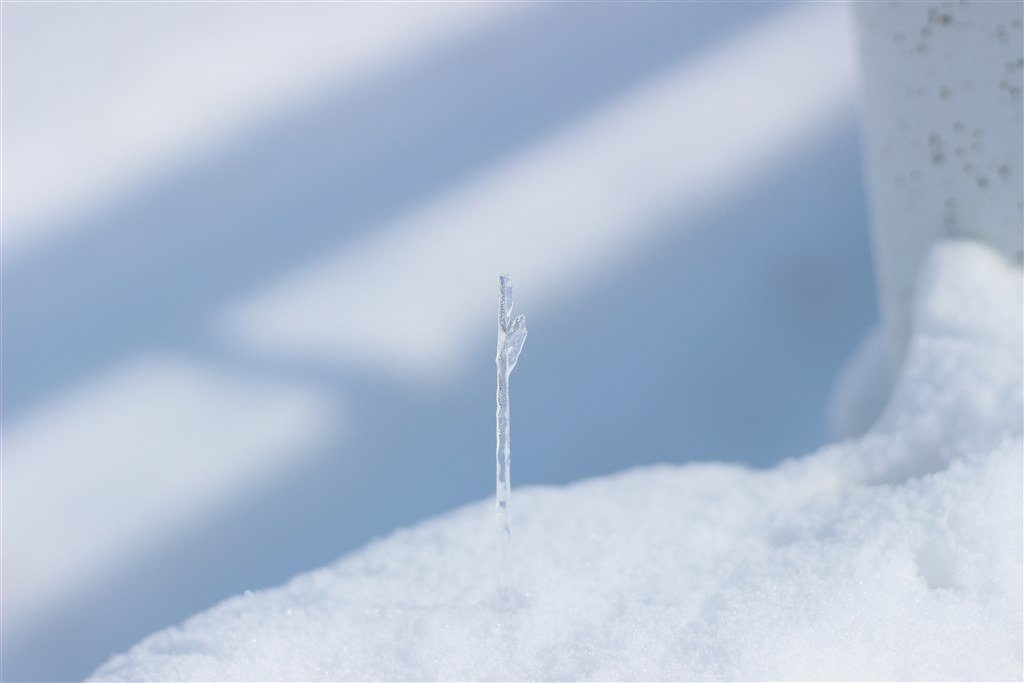 Canon EF-S 18-135mm F3.5-5.6 IS 広角レンズ 6D2か5D3にするかとレンズ選び』 CANON EOS 6D Mark II ボディ の