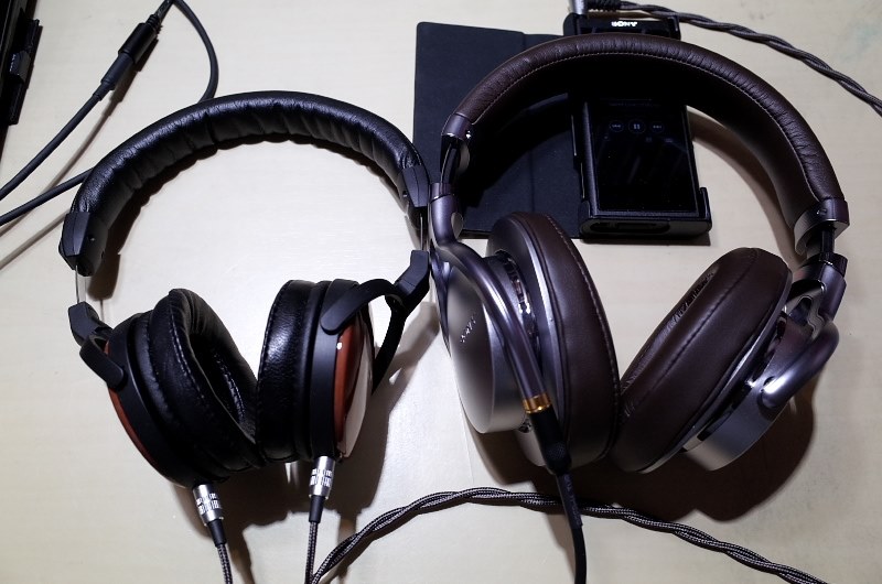 Audio-Technica EARSUIT ATH-ESW950 との相性』 SONY NW-ZX300 [64GB