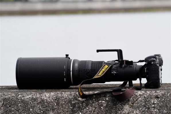 ニコン Ai AF-S Nikkor ED 500mm F4D II (IF) (ブラック)投稿画像