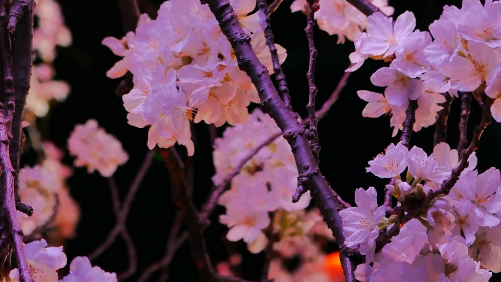 レンズについて』 オリンパス OLYMPUS PEN E-PL8 14-42mm EZ