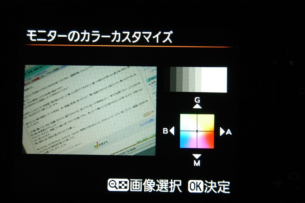 ★撮影枚数2,576枚・液晶黄変★ ニコン D3100 ボディ #21948 ☆撮影枚数3371枚・液晶やや不良☆ ニコン D3100 ボディ #21027 【公式