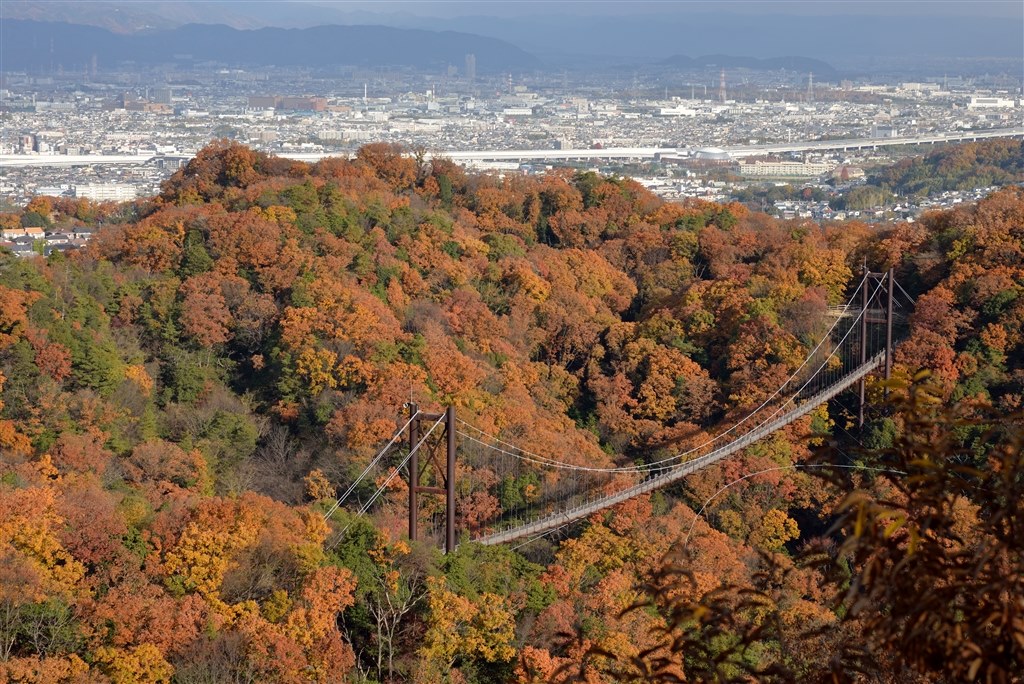 超広角に興味がでてきて…』 CANON EF-S10-18mm F4.5-5.6 IS STM の
