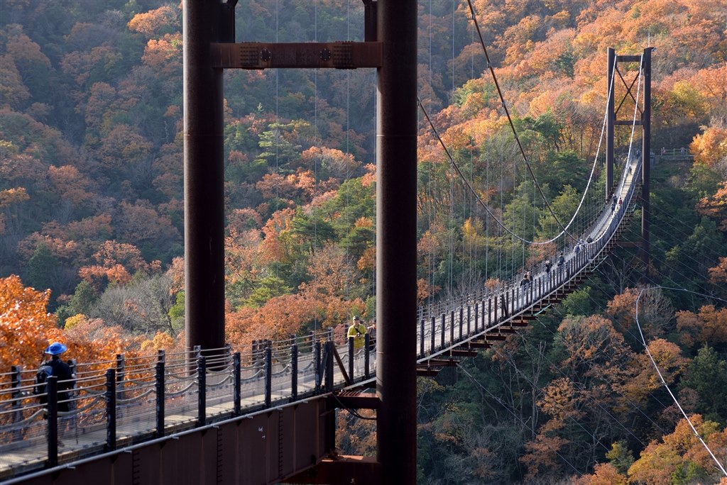 ❤️超広角レンズ❤️Canon EF-S 10-18mm IS STM❤️風景写真等に Amazon.co.jp: Canon EF-S 10-18mm f/4.5-5.6 IS STMレンズ : 家電＆カメラ
