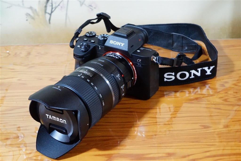 カメラ レンズ(ズーム) 爆速AF！ α7Ⅲ + EF-NEX IV + TAMRON 28-300mm(Model A010)』 SONY α7 