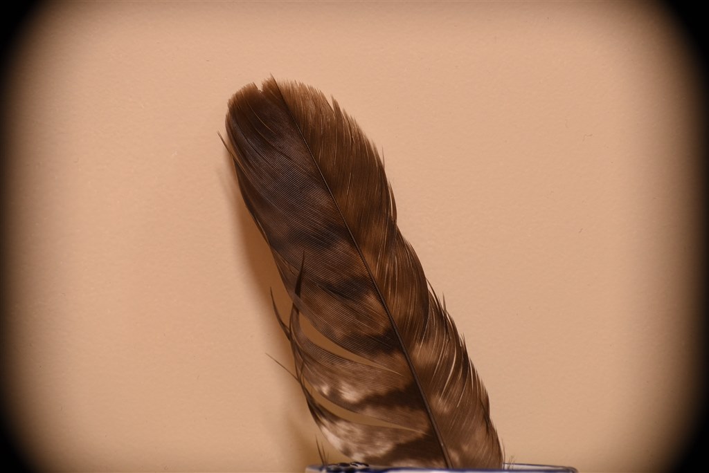 フルサイズでのケラレ』 ニコン AF-P DX NIKKOR 70-300mm f/4.5-6.3G