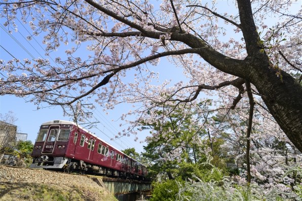 ニコン AI AF Nikkor 20mm f/2.8Dで撮影された写真 - 価格.com