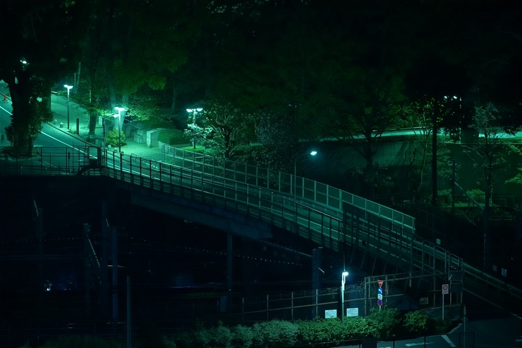 ISO12800 テストしてみました。』 SONY α7 III ILCE-7M3 ボディ