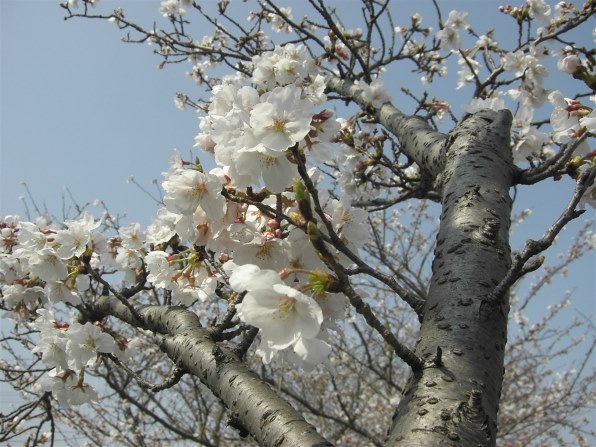 京セラ CONTAX U4R 価格比較 - 価格.com