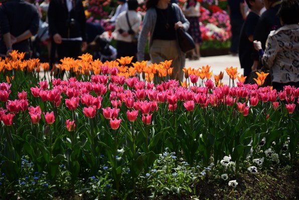 ニコン AF-S DX Zoom Nikkor ED 18-135mm F3.5-5.6G (IF)投稿画像