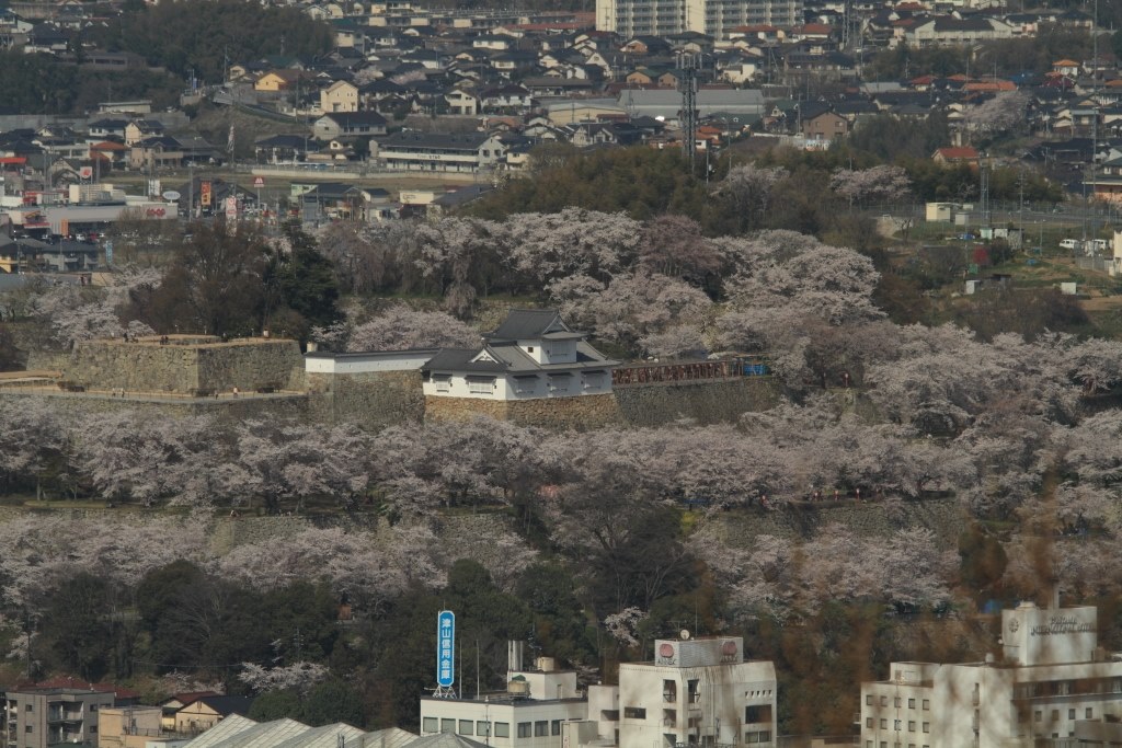 運動会レンズ購入検討』 CANON EF70-300mm F4-5.6 IS II USM の