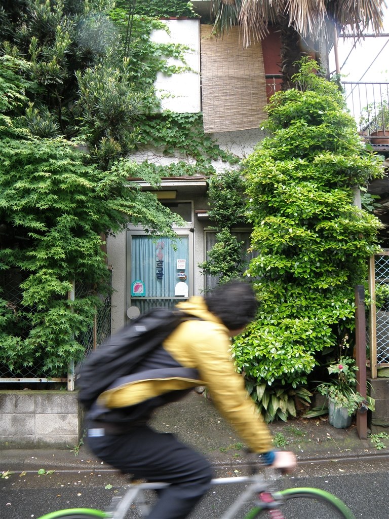 これがXDカード終焉の始まりでしたね…』 オリンパス CAMEDIA SP