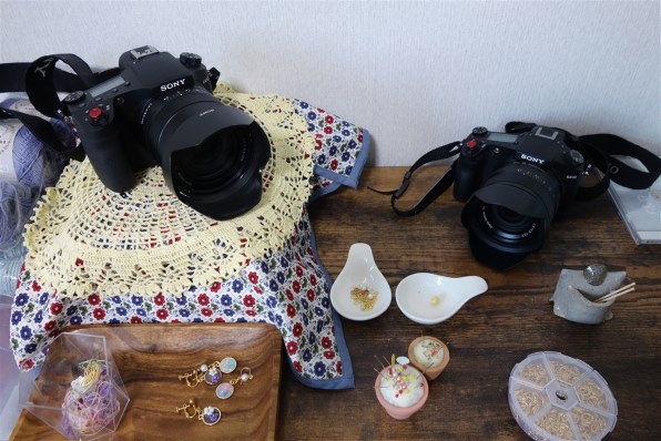 SONY サイバーショット DSC-RX10投稿画像・動画 - 価格.com