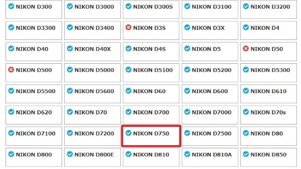 Nikon D750 ショット数少 買わないはずだったNikon D750を買ってしまいました