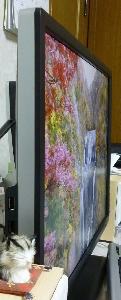 EIZO FlexScan EV2451-RWT [23.8インチ ホワイト]投稿画像・動画