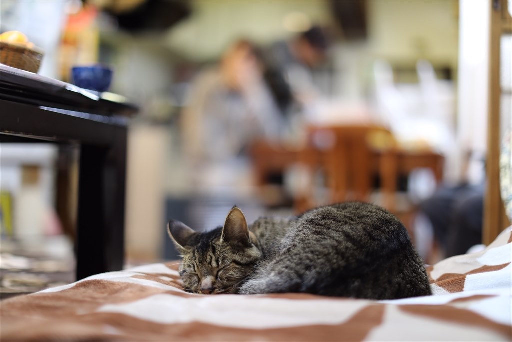 F1.2の作例是非お願いします!』 CANON EF50mm F1.2L USM の