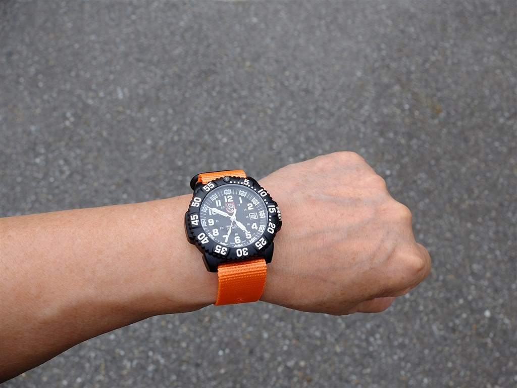 NAVY SEAL COLORMARK 3050 SERIES Ref.3051.GO.NSF | Luminox
