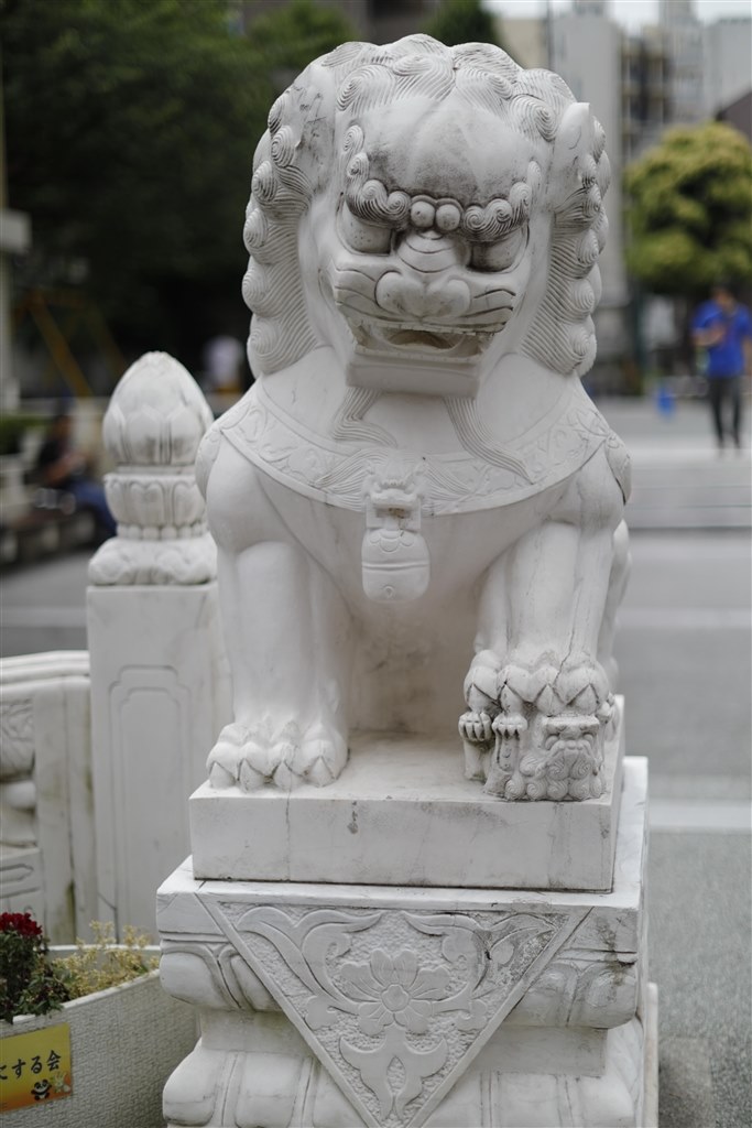 F1.2の作例是非お願いします!』 CANON EF50mm F1.2L USM の