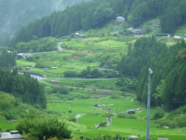 リコー RICOH WG-30W [カーボングレー]投稿画像・動画 - 価格.com