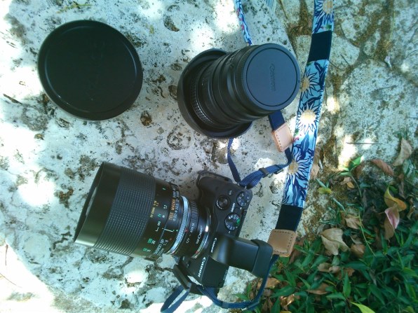 TAMRON SP 500mm F/8のクチコミ - 価格.com