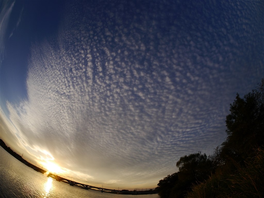 SIGMA 10mm F2.8 FISHEYE HSM 対角線魚眼レンズ 716zrzWqceL._UF350,350_QL50_.jpg