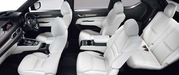 DAHON Visc EVO 2019年モデル [ブライトシルバー]投稿画像・動画