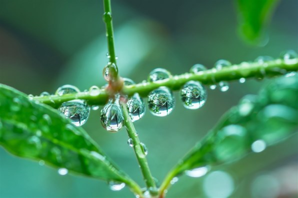 長雨は秋の入り口 とっておきの初秋 お見せください クチコミ掲示板 価格 Com