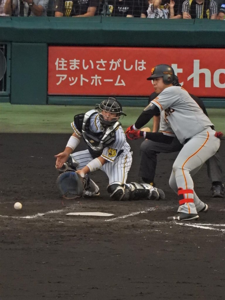 プロ野球を撮る！』 ニコン COOLPIX P1000 のクチコミ掲示板 - 価格.com